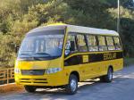 Volare V8L Escolarbus 2009 года